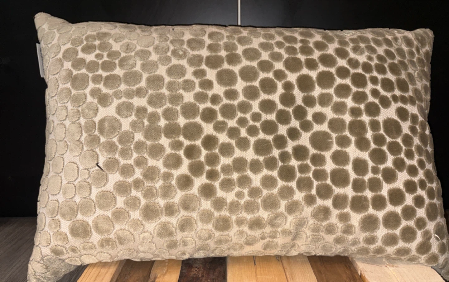 Urban Standard Accent Cushion