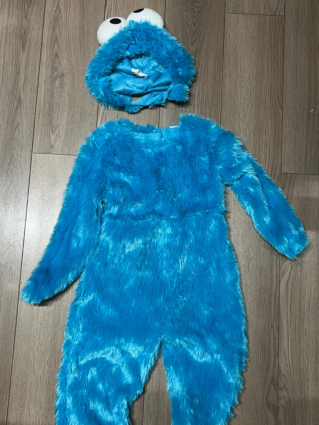 Cookie Monster Costume