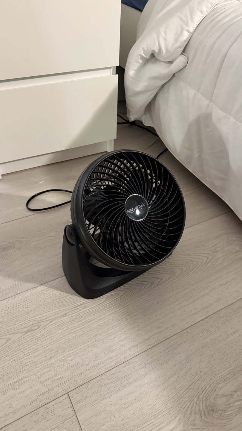 Amazon Basics Air Circulator Fan