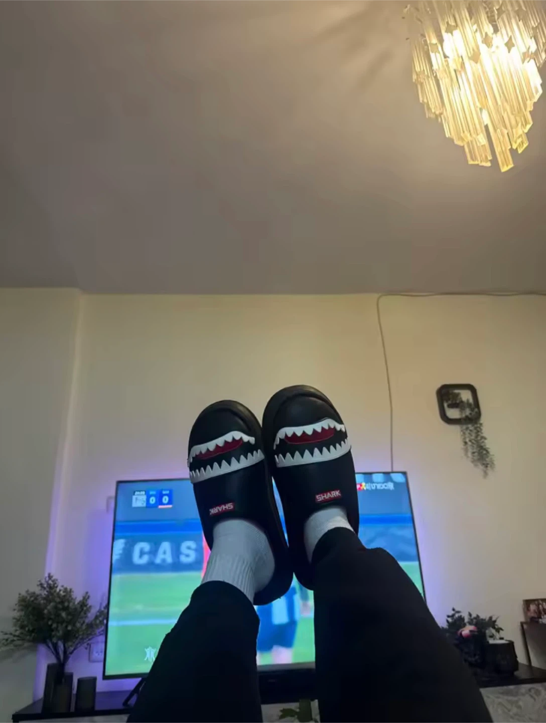 Black Shark Slippers