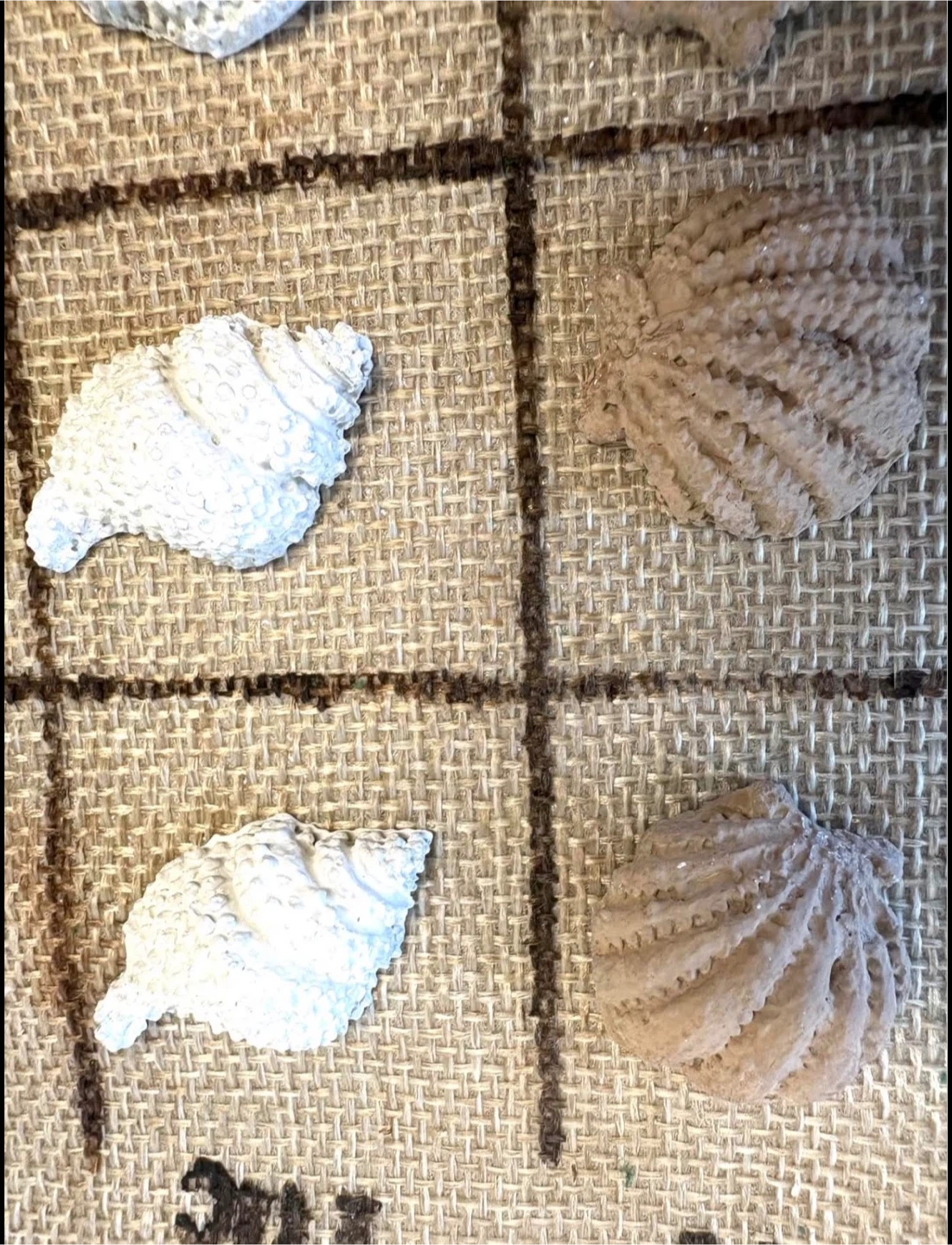 Coastal Seashell Tic-Tac-Toe Game Set - photo 3
