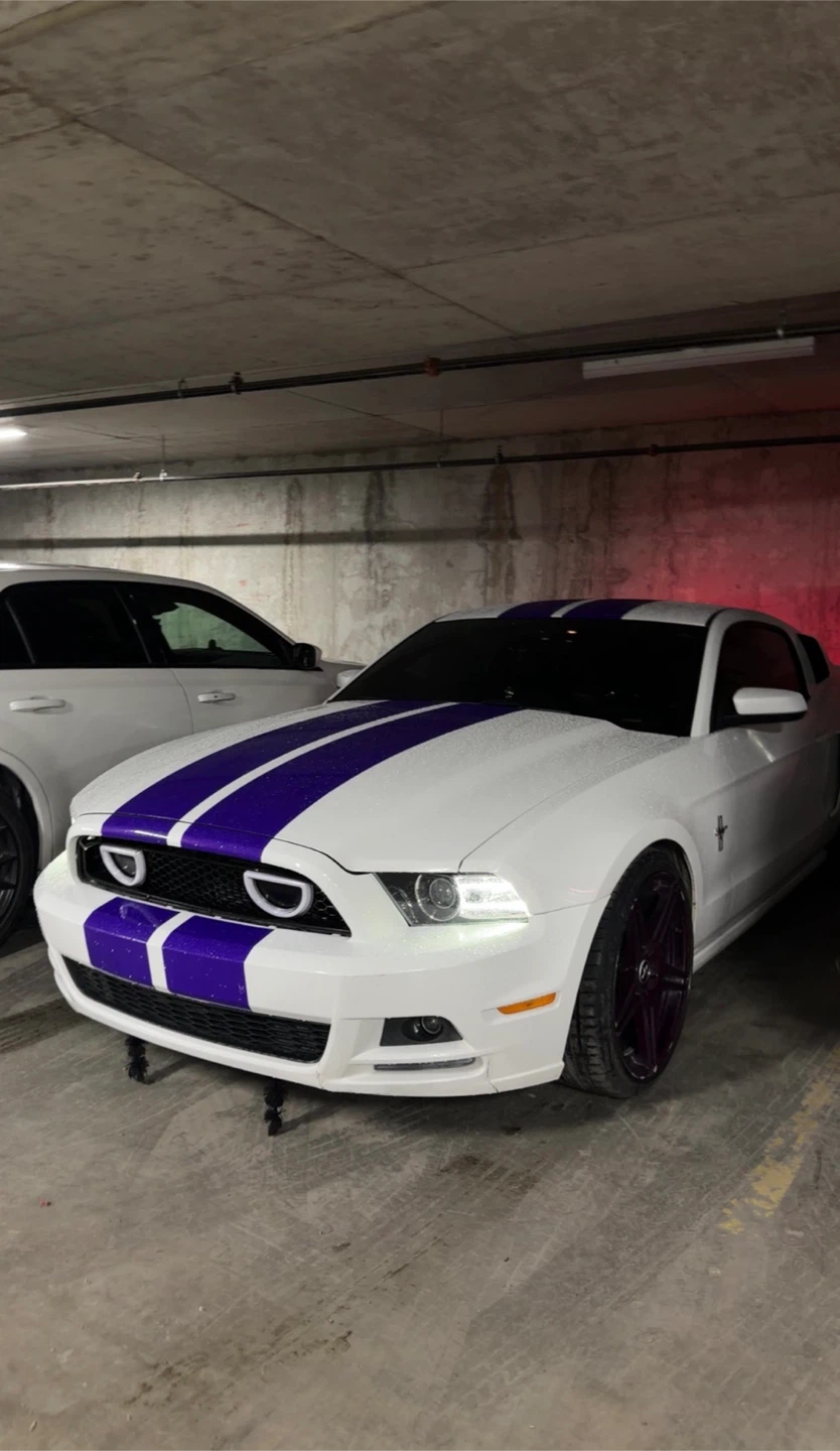 2014 Ford Mustang V6 California Edition Manual Low Km - photo 5