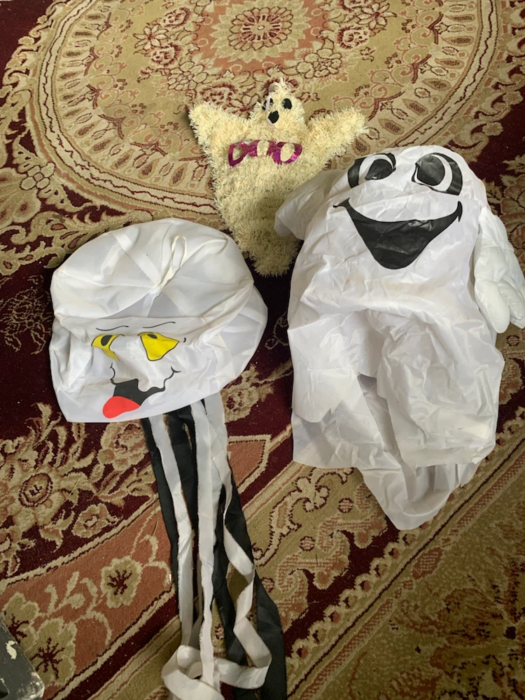 Halloween Lot - photo 5