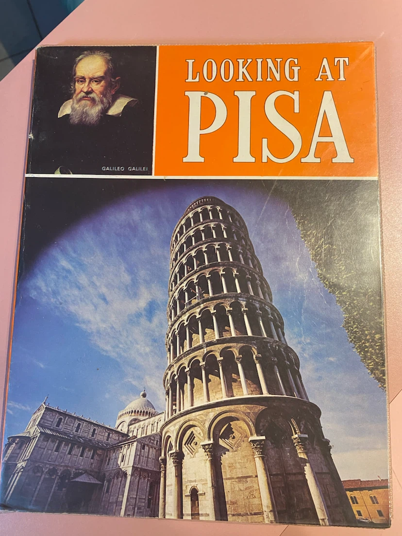 Looking at Pisa Book