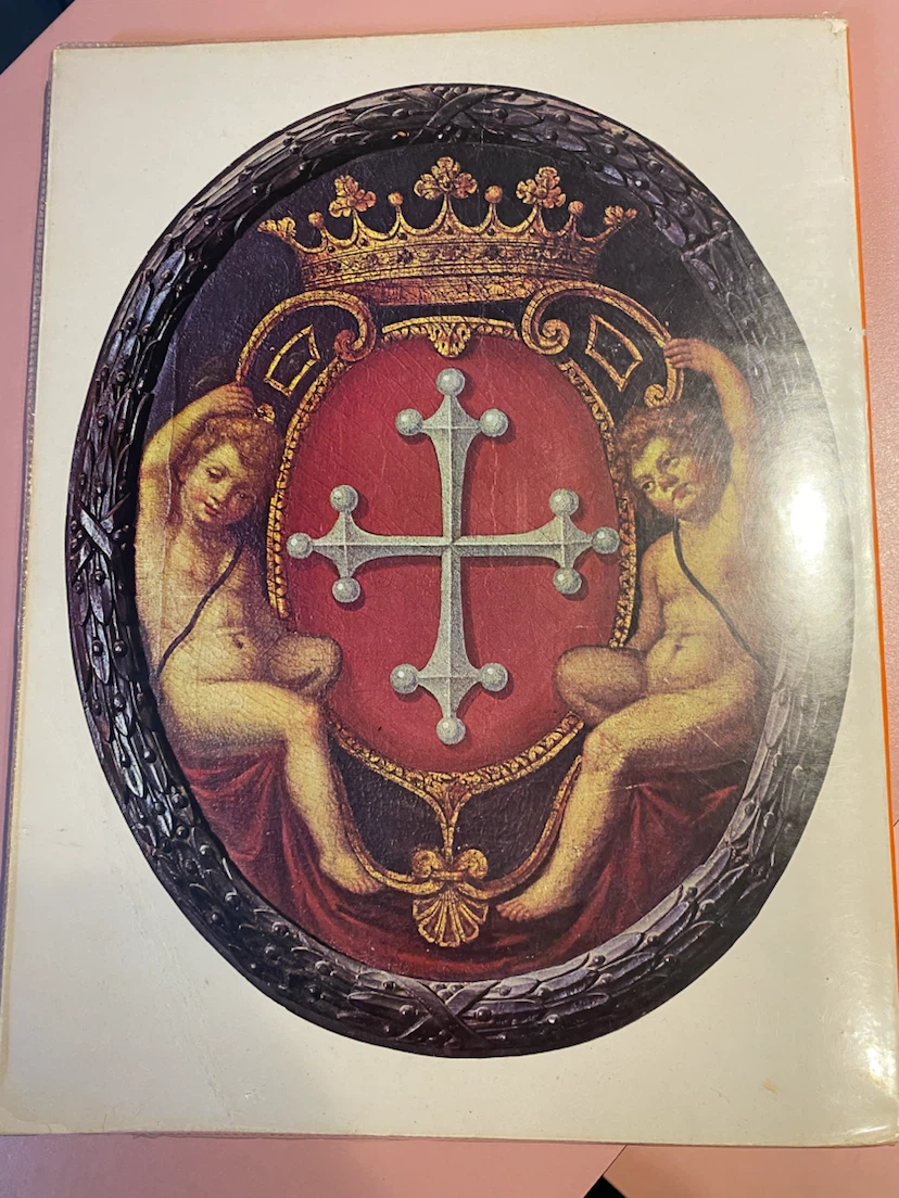 Looking at Pisa Book - photo 2