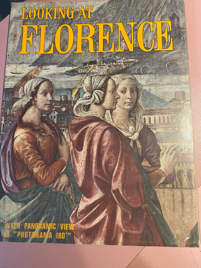 Looking at Florence Book