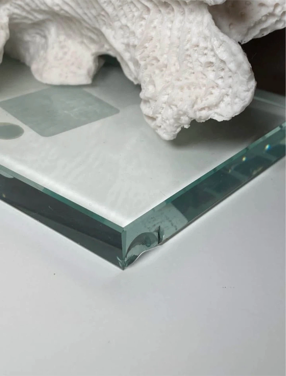 Coral Sculpture Decor | Home | Office - photo 3