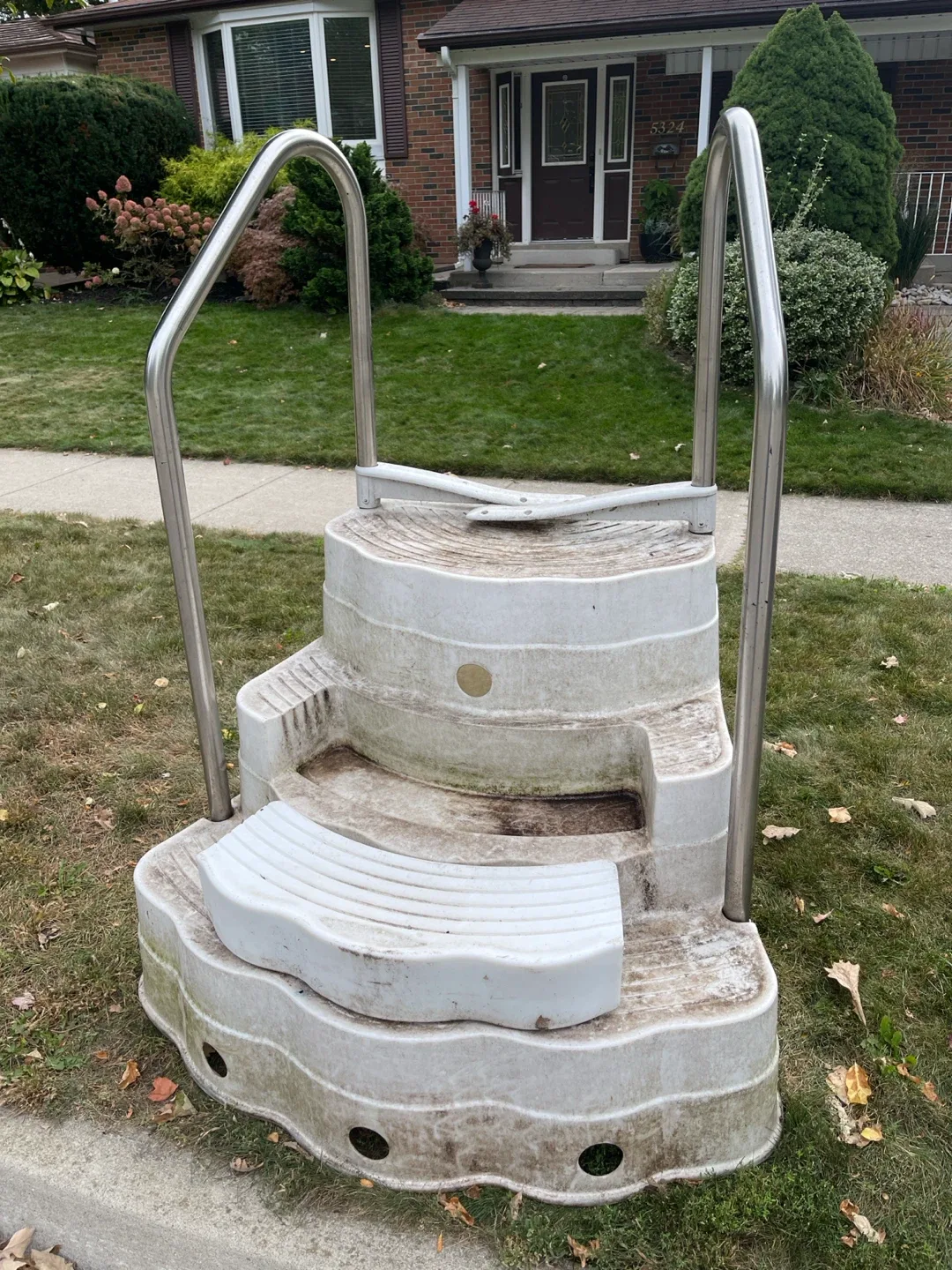 Swimming Pool Entry Steps with Handrails