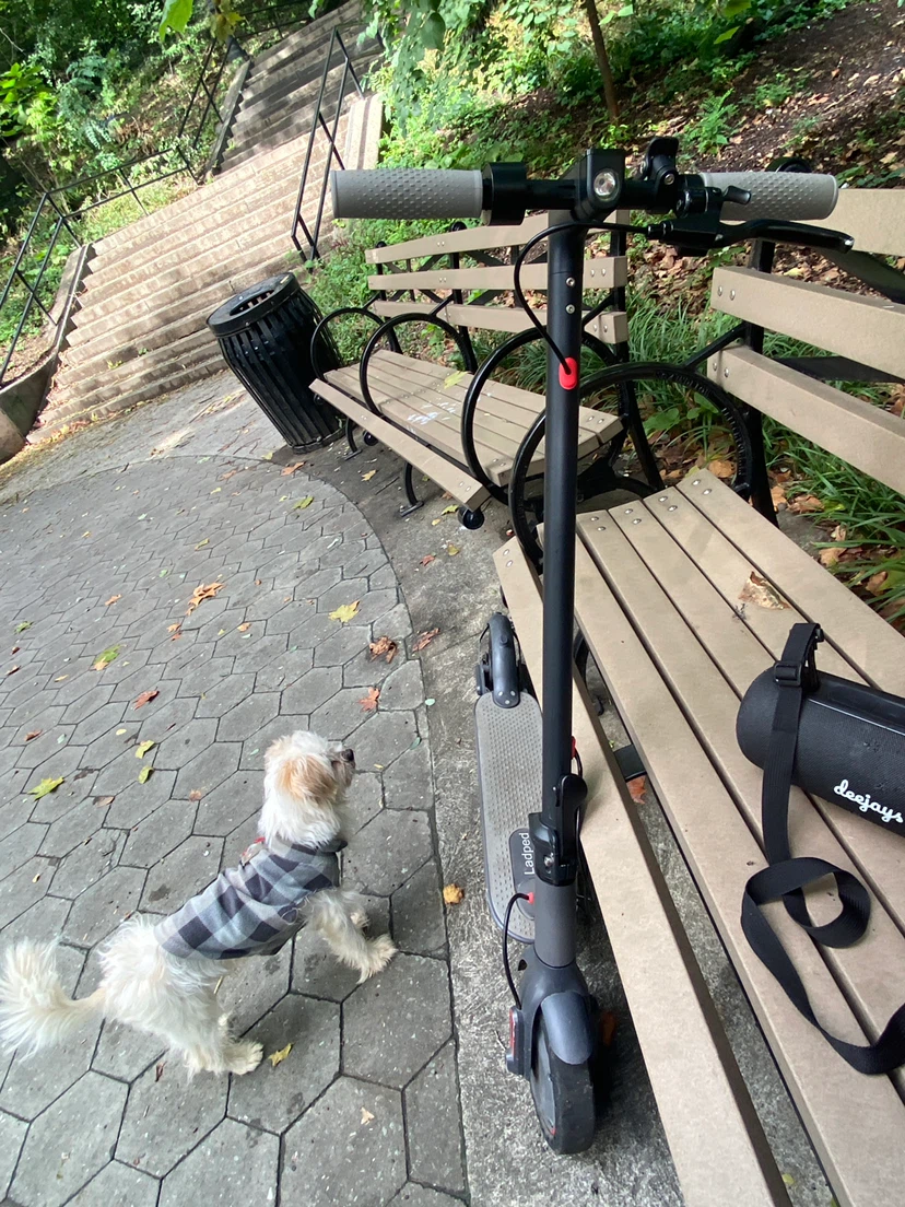 Ladped Electric Scooter