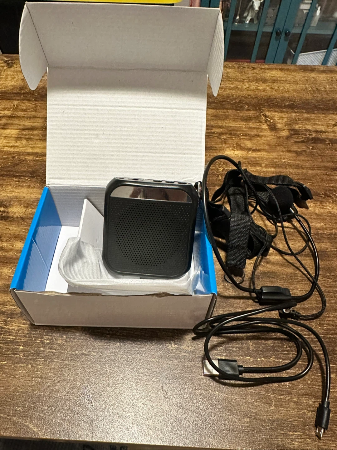 Voice Amplifier