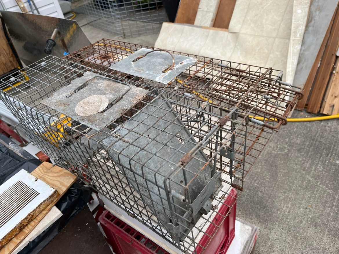 Havahart Live Animal Trap