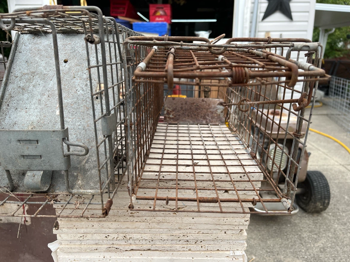 Havahart Live Animal Trap - photo 3
