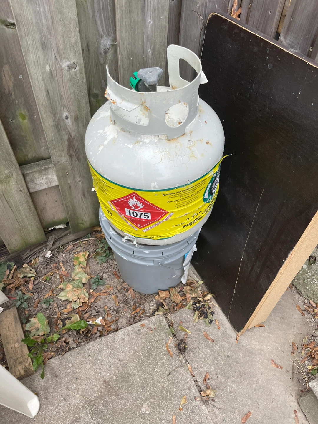 Propane BBQ Grill - photo 2