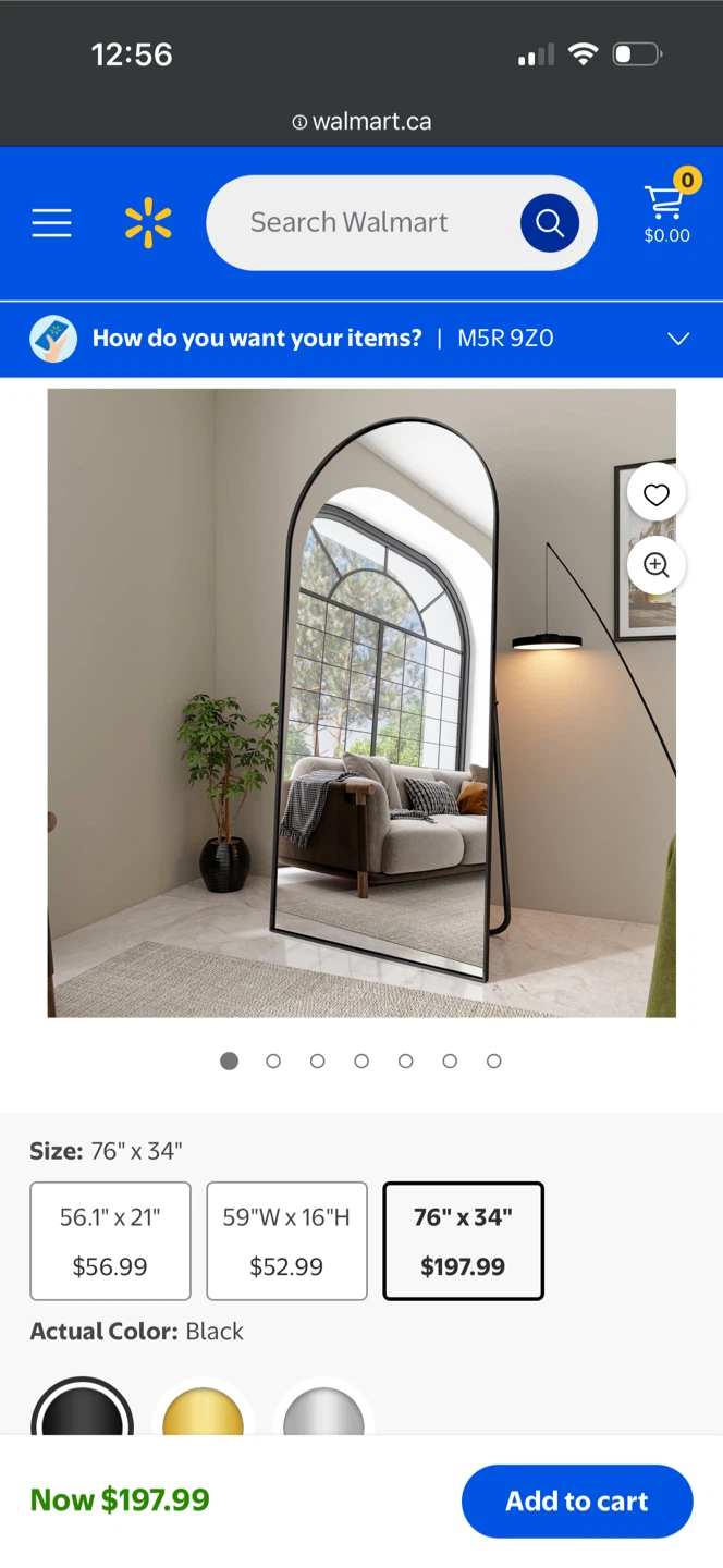 Arched Full Length Floor Mirror Black