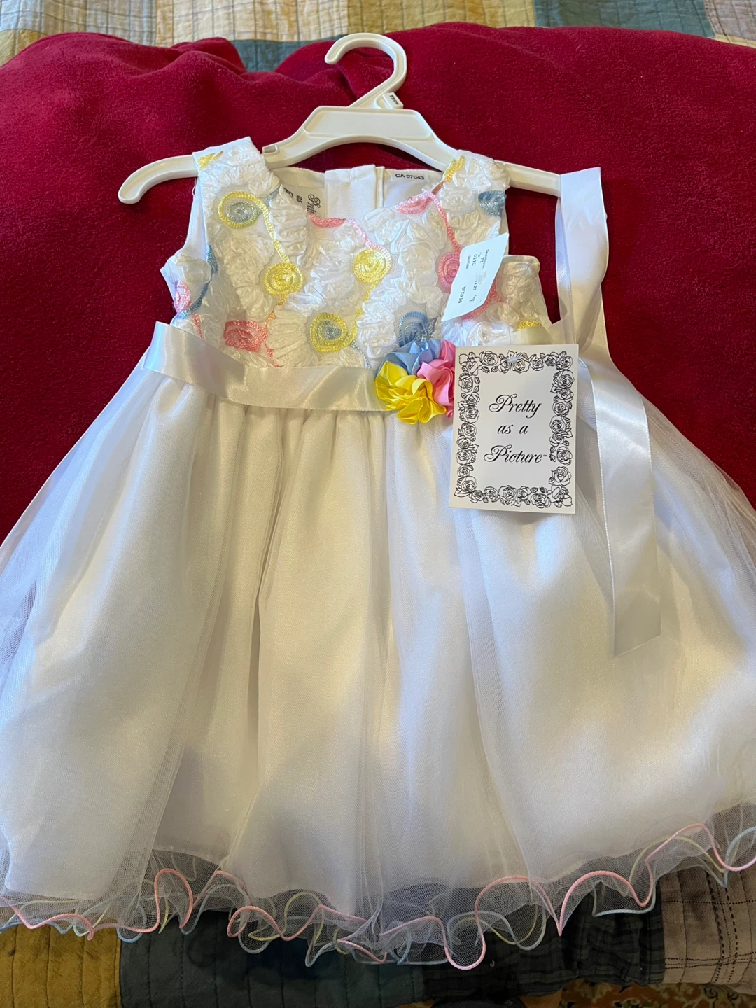Pretty as a Picture Infant Dress