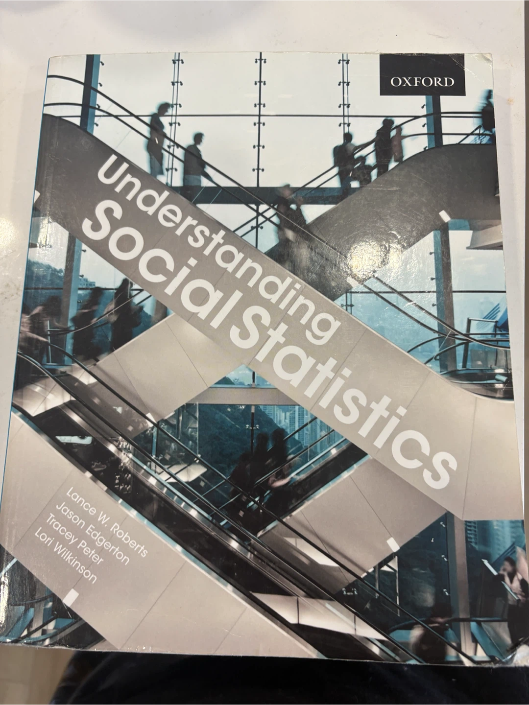 Understanding Social Statistics by Lance W. Roberts