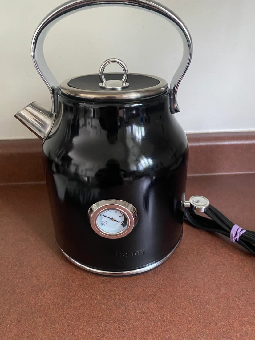 Kitchen electric kettle with analog temperature gauge