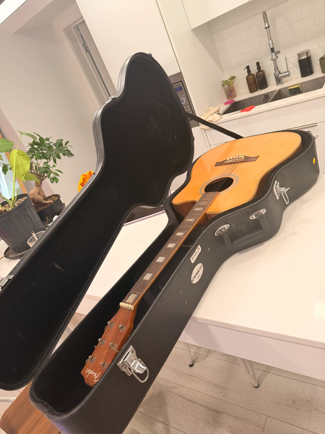 Fender Acoustic-Electric Guitar with Case - photo 4
