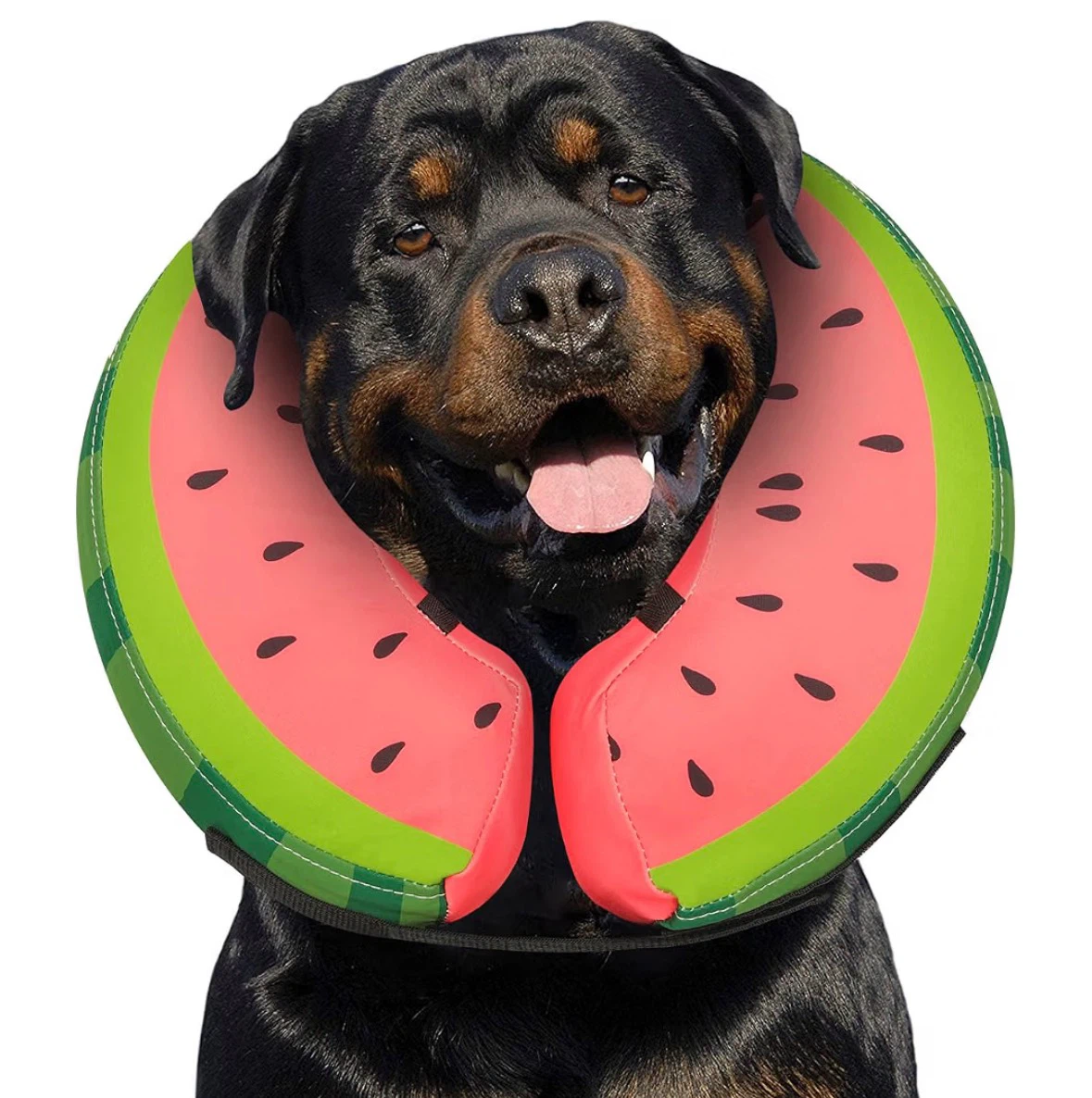 XL Watermelon Pet Recovery Inflatable Collar