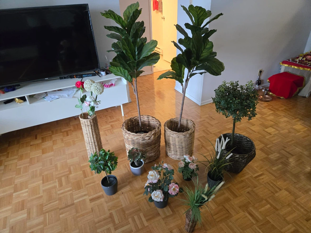 Assorted Artificial Plants and Wicker Baskets