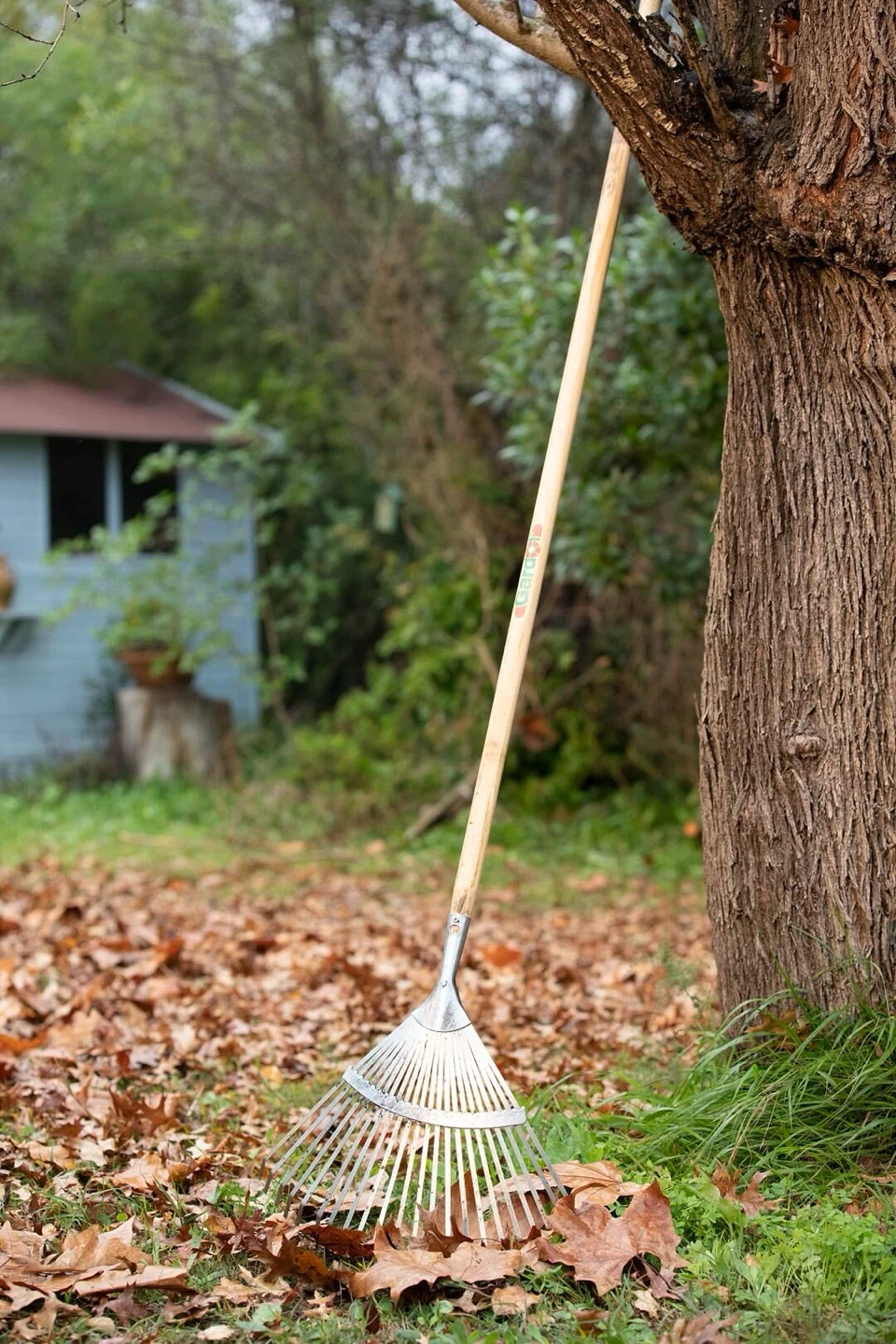 Raking services