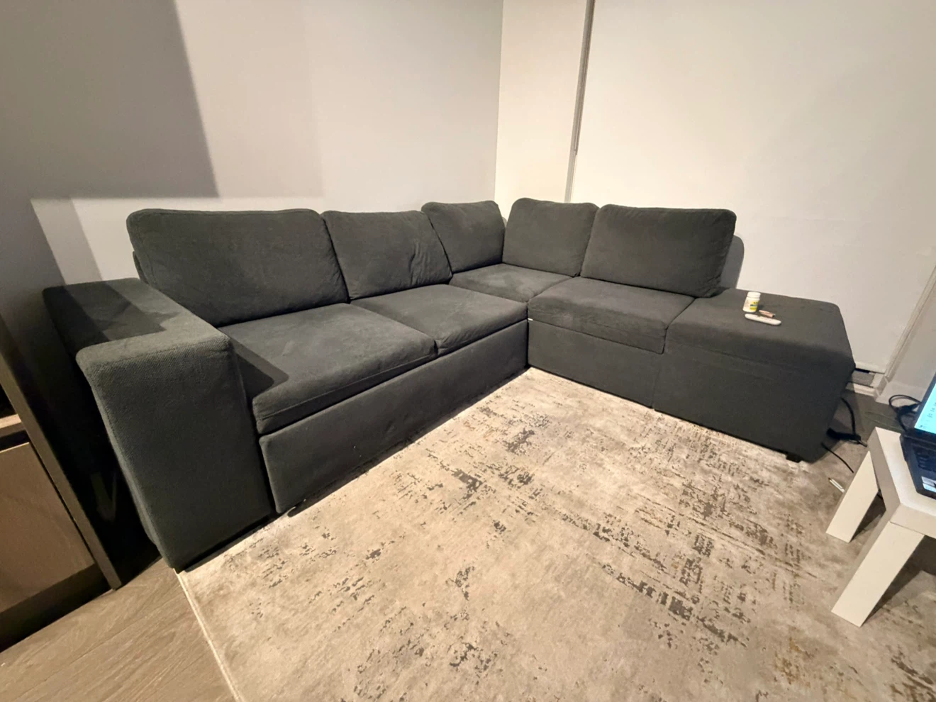 Structube Tomar Sofa Bed (name your price)