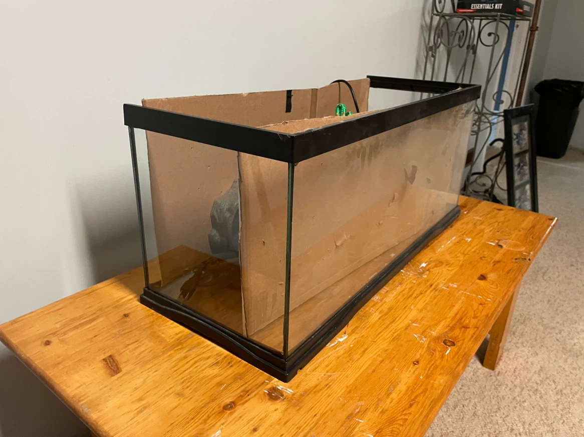 Fish tank