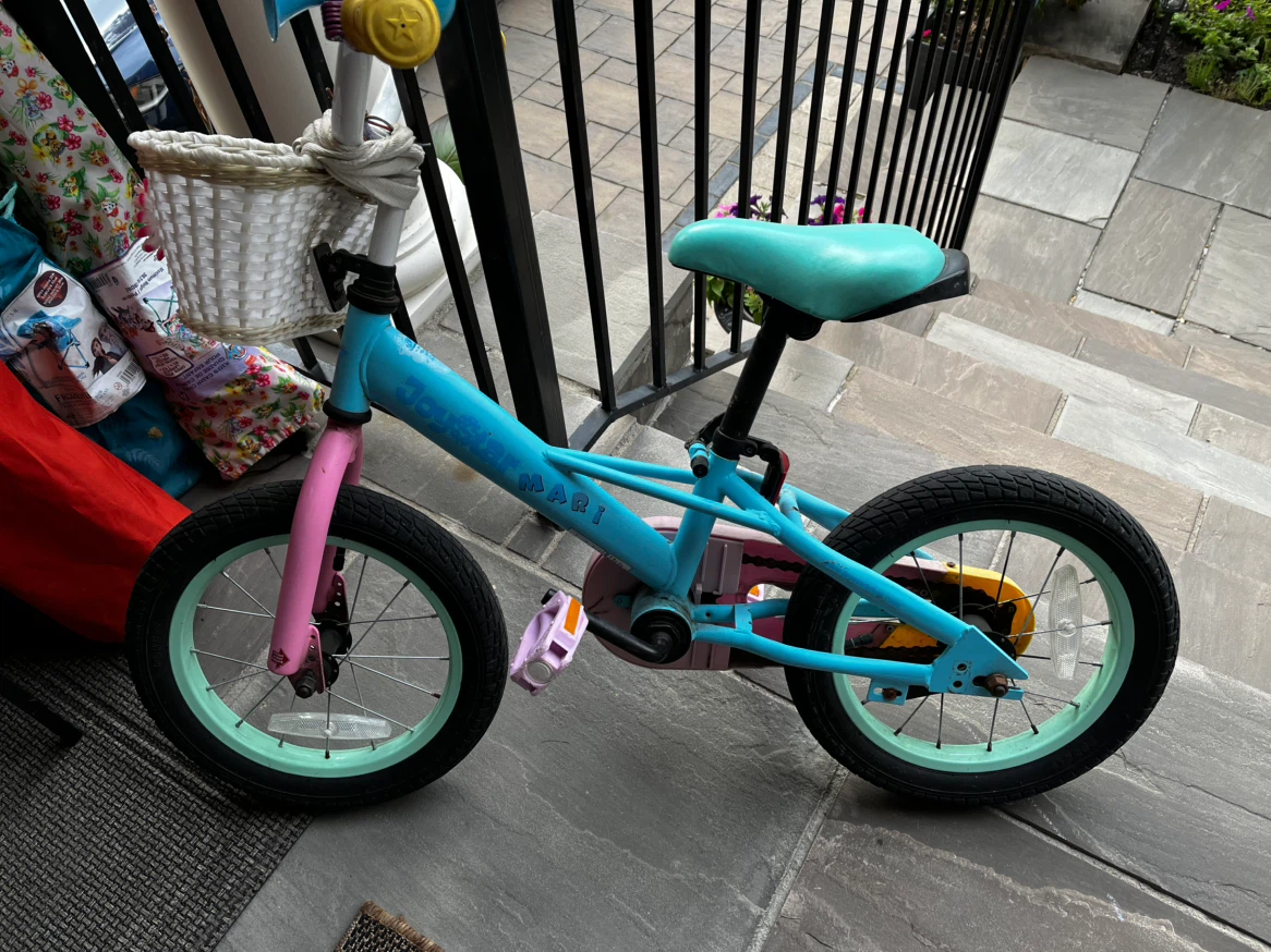 Joystar Mari 14 Inch Kids Bike