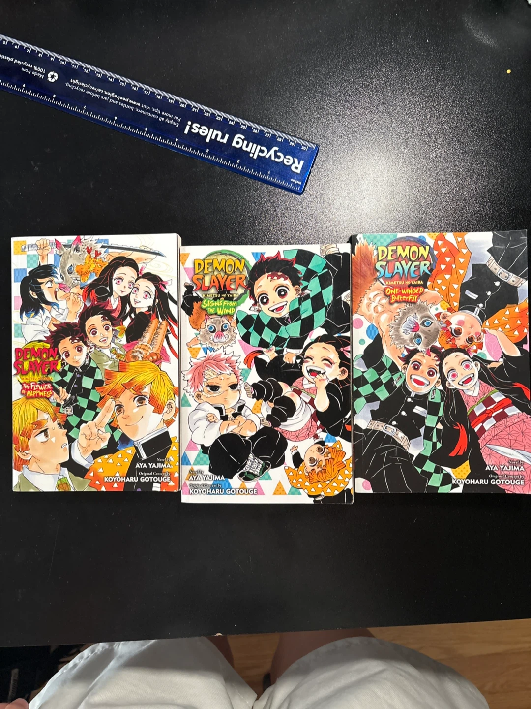 Demon slayer light novels / manga