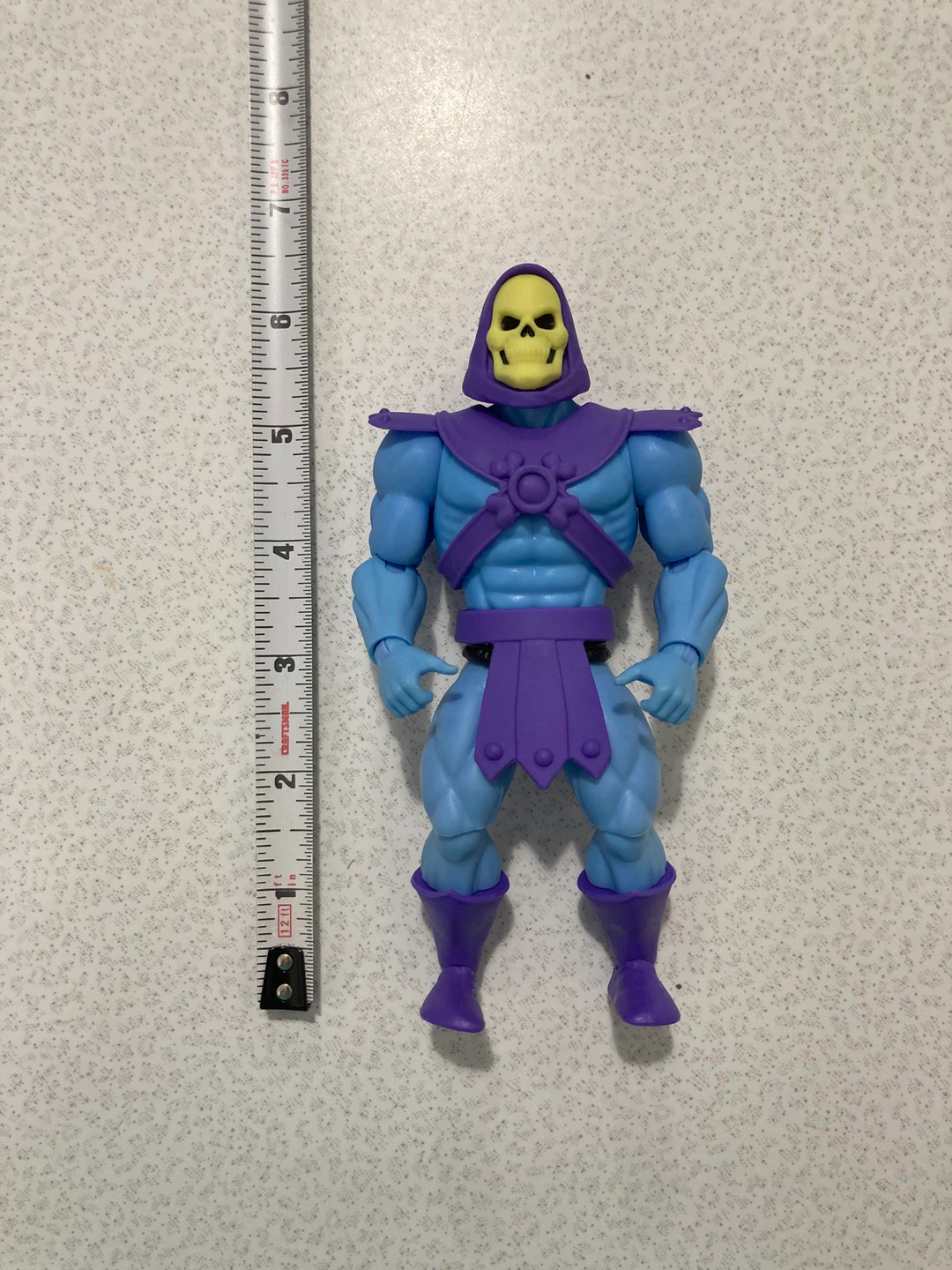 Masters of the Universe Skeletor Action Figure