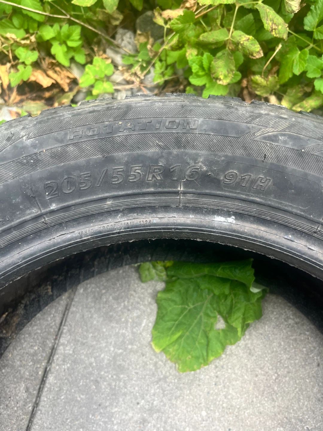 Winter Claw Sport SXI Tires 205/55 R 16 - photo 4