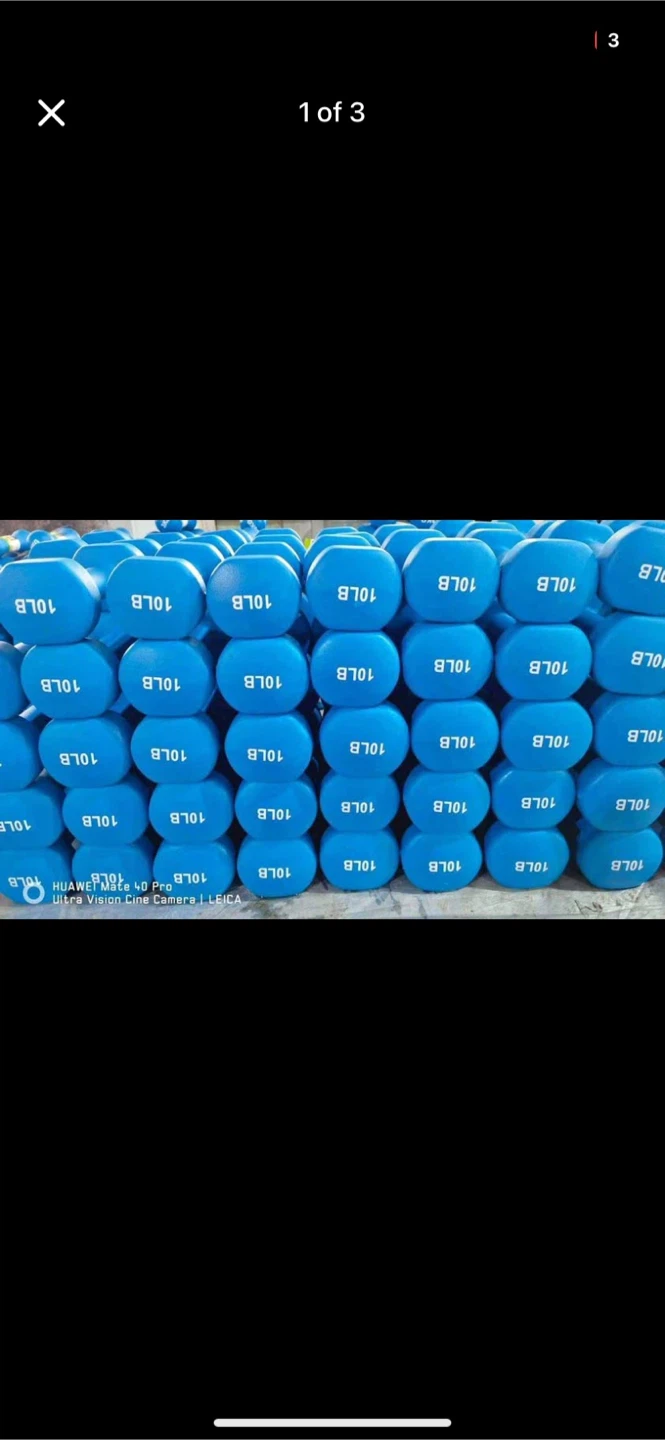 Blue 10lb Hex Dumbbells