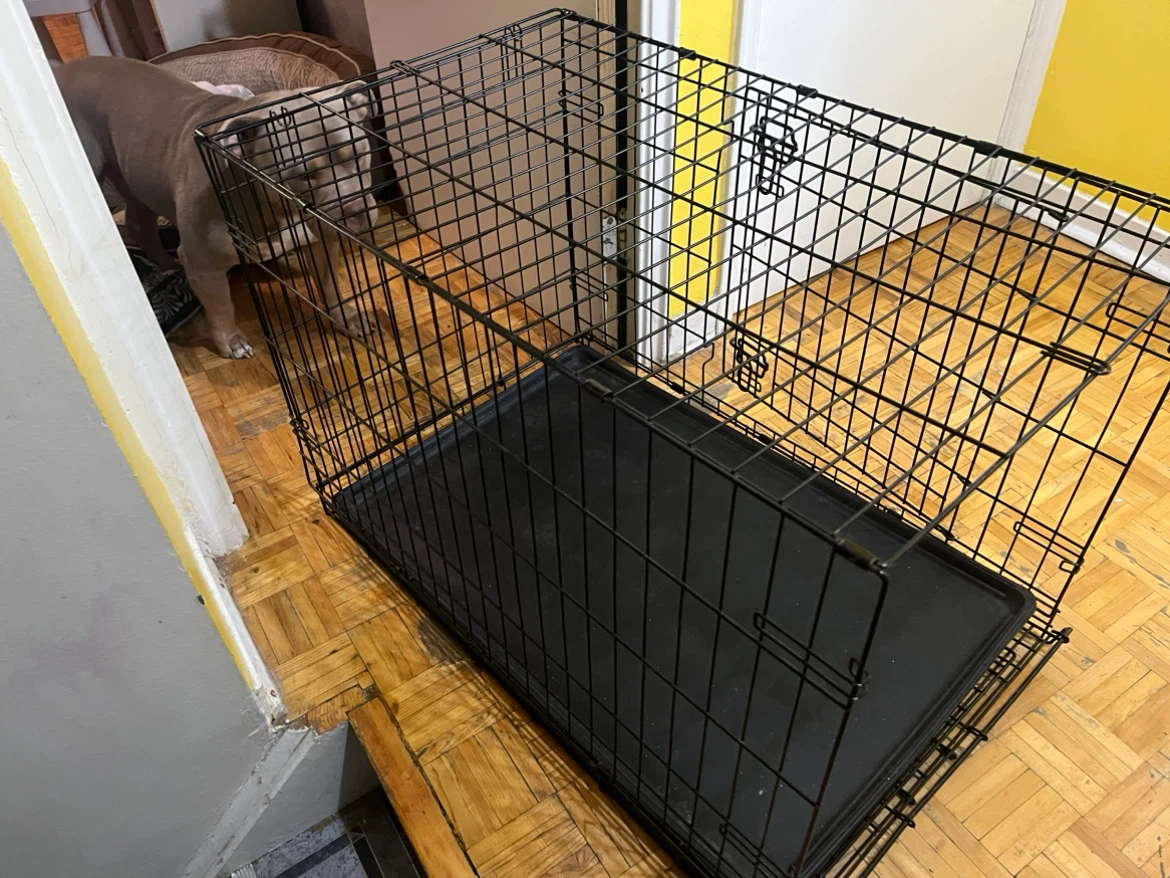 Collapsible Metal Dog Crate - photo 3