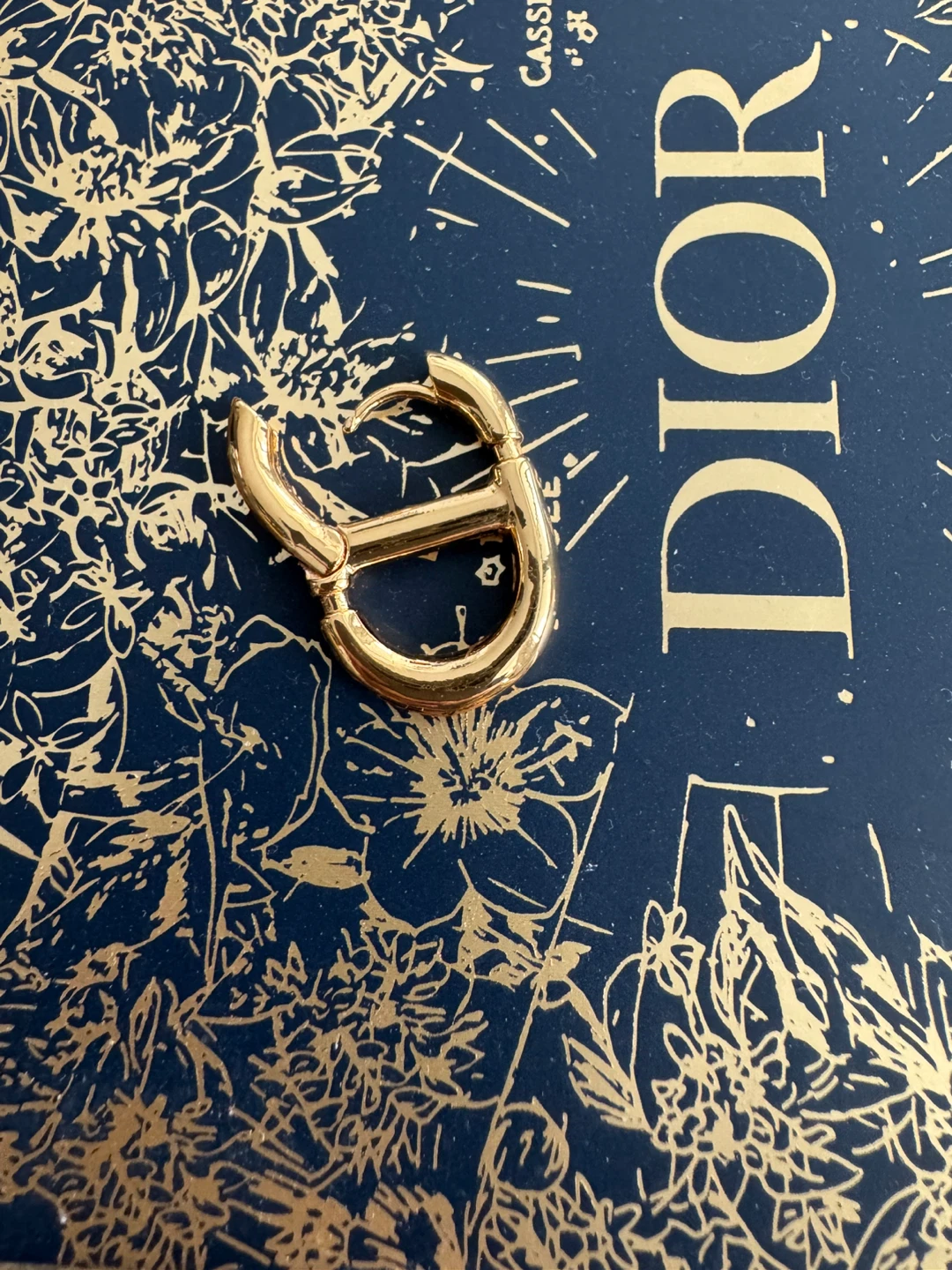 single Christian Dior CD Earring
