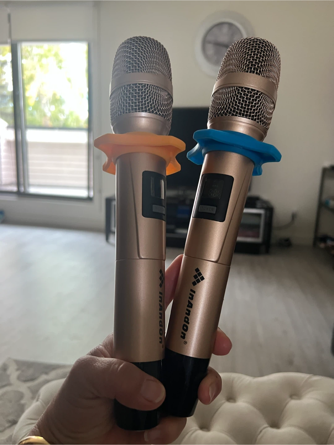 Inandon Wireless Microphones (2 pack)