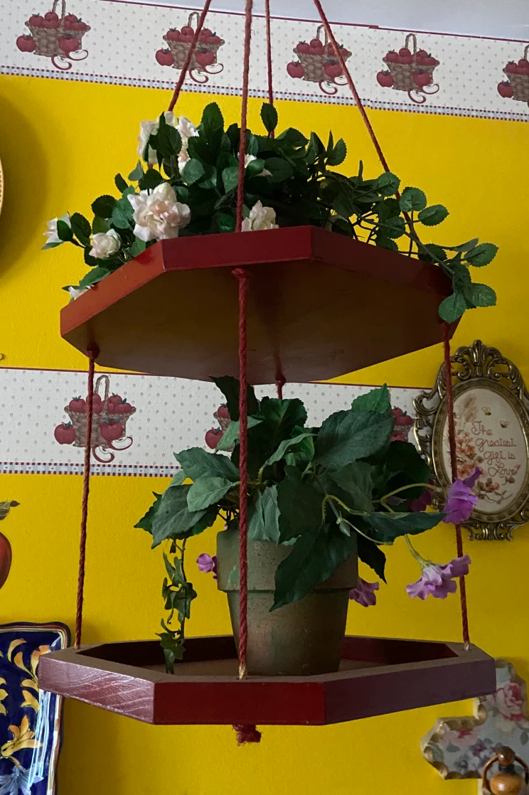 Two-Tier Hanging Hexagonal Wooden Plant Shelf