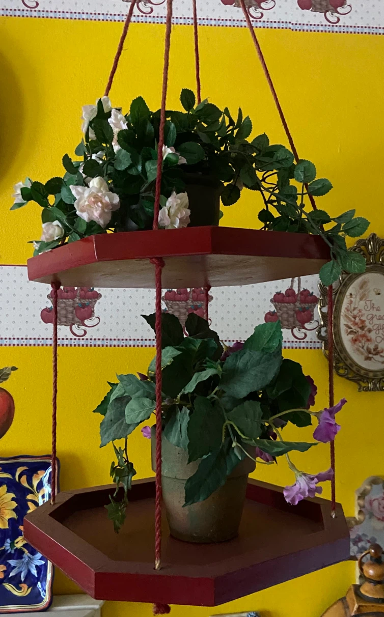 Two-Tier Hanging Hexagonal Wooden Plant Shelf - photo 3