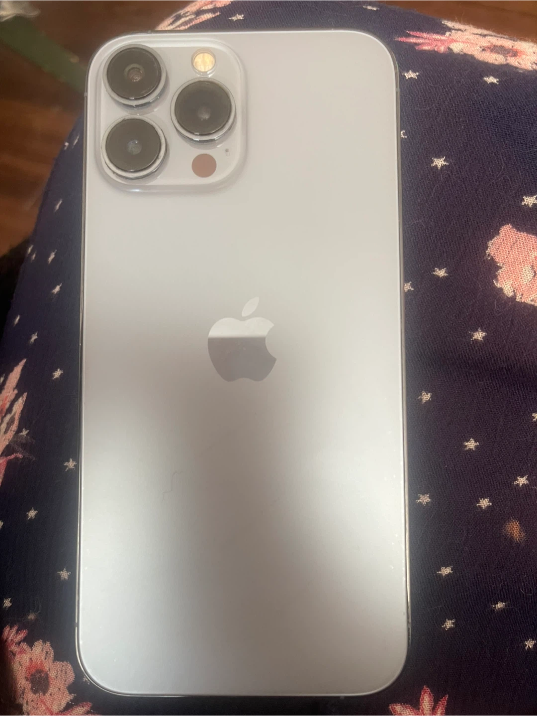 Apple iPhone 13 Pro Silver