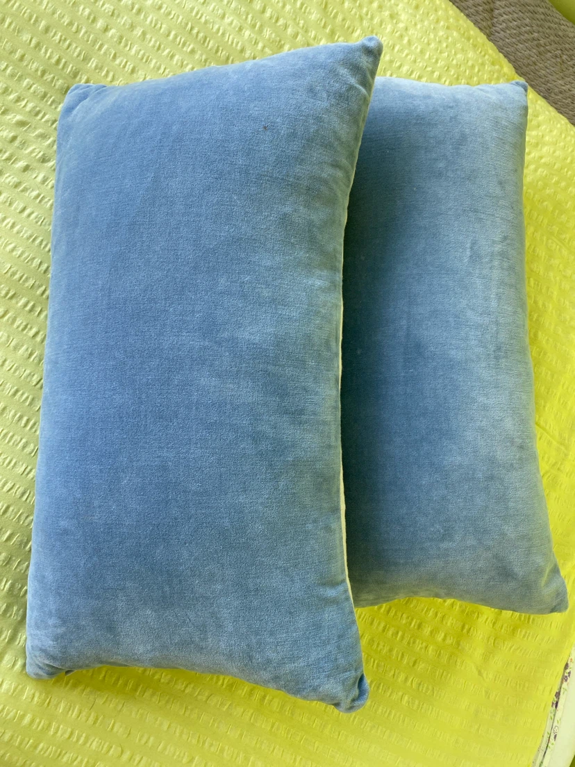 Two Blue Velvet Throw Pillows