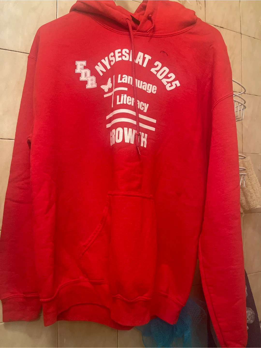 Gildan Red NYSESLAT 2025 Hoodie
