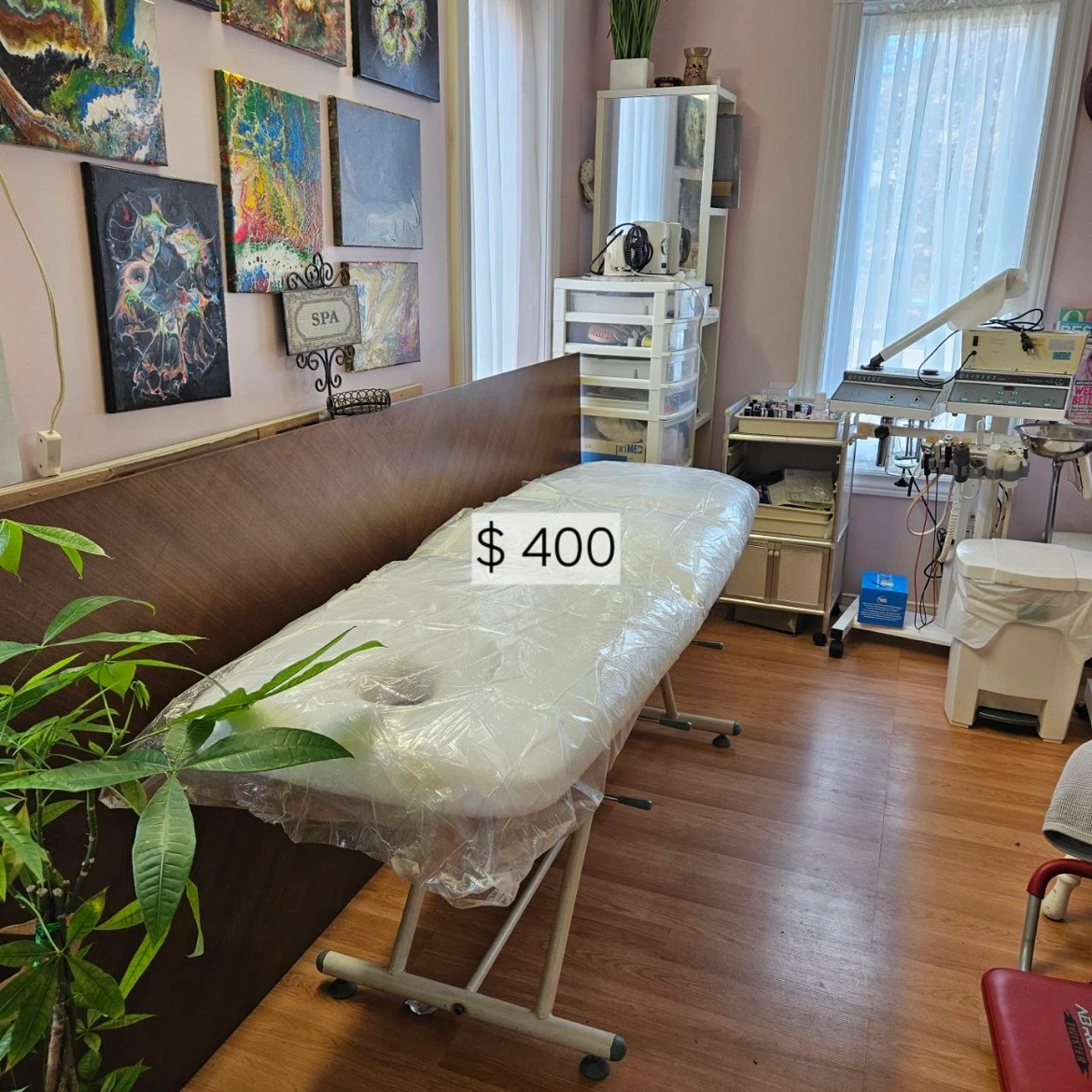 Professional Massage and Spa Treatment Table