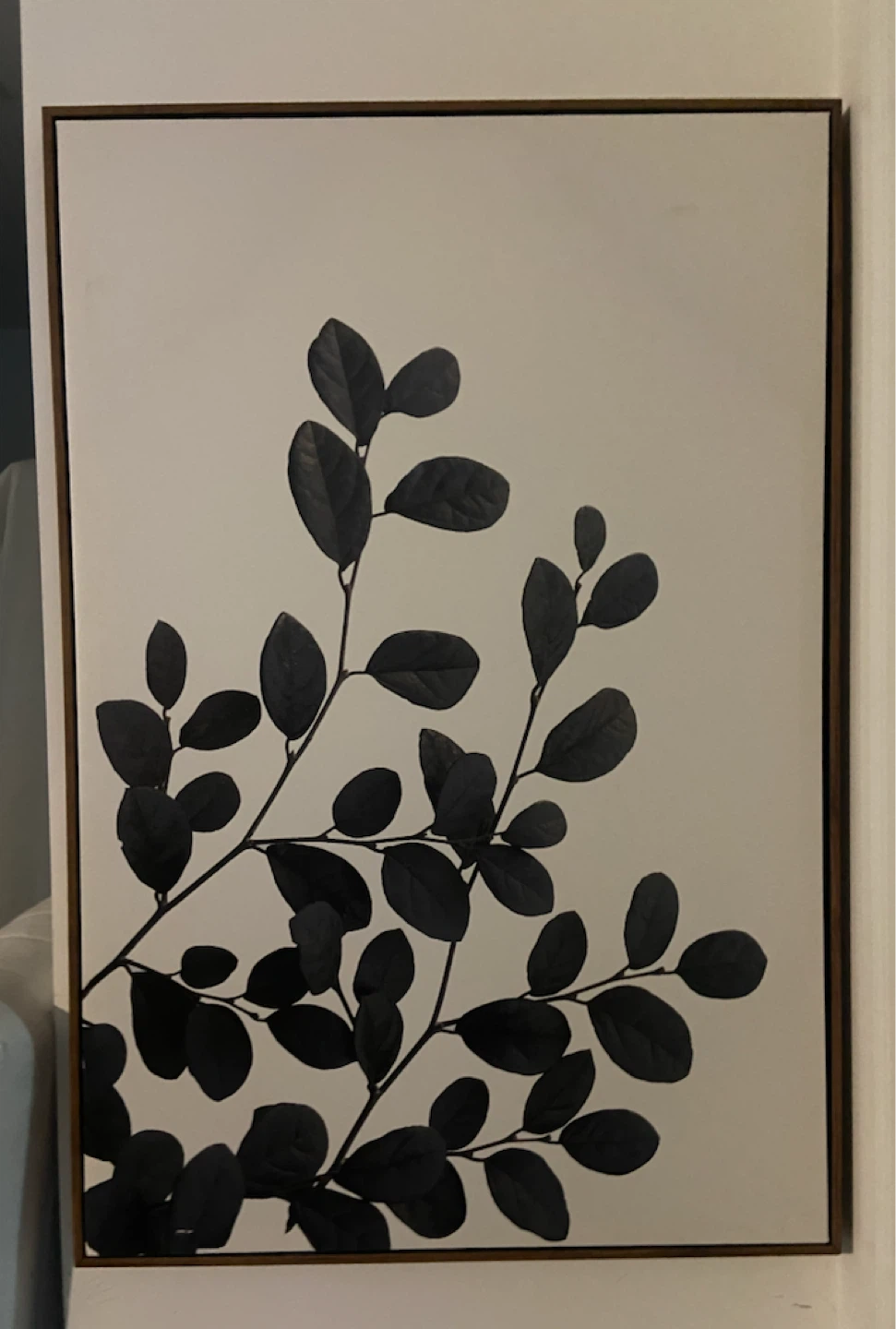 Large Botanical Wall Art with Wooden Frame
