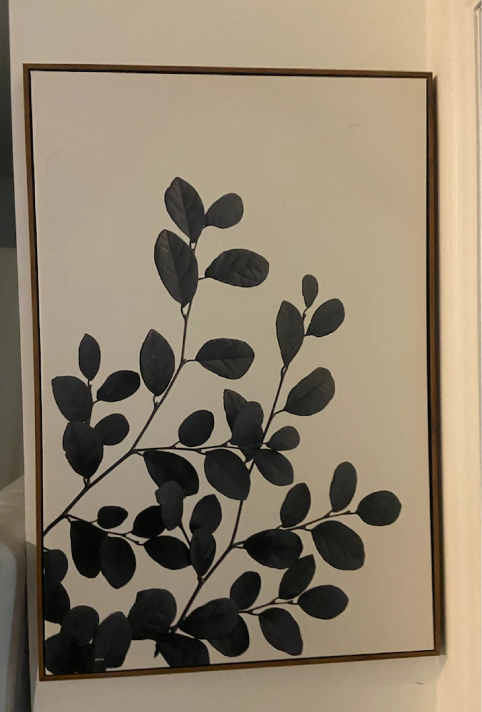 Large Botanical Wall Art with Wooden Frame - photo 2