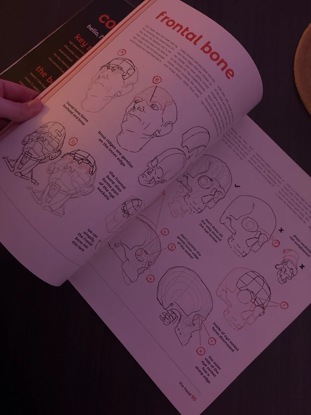 Anatomy for Artists: Drawing Form & Pose by tomfoxdraws - photo 3
