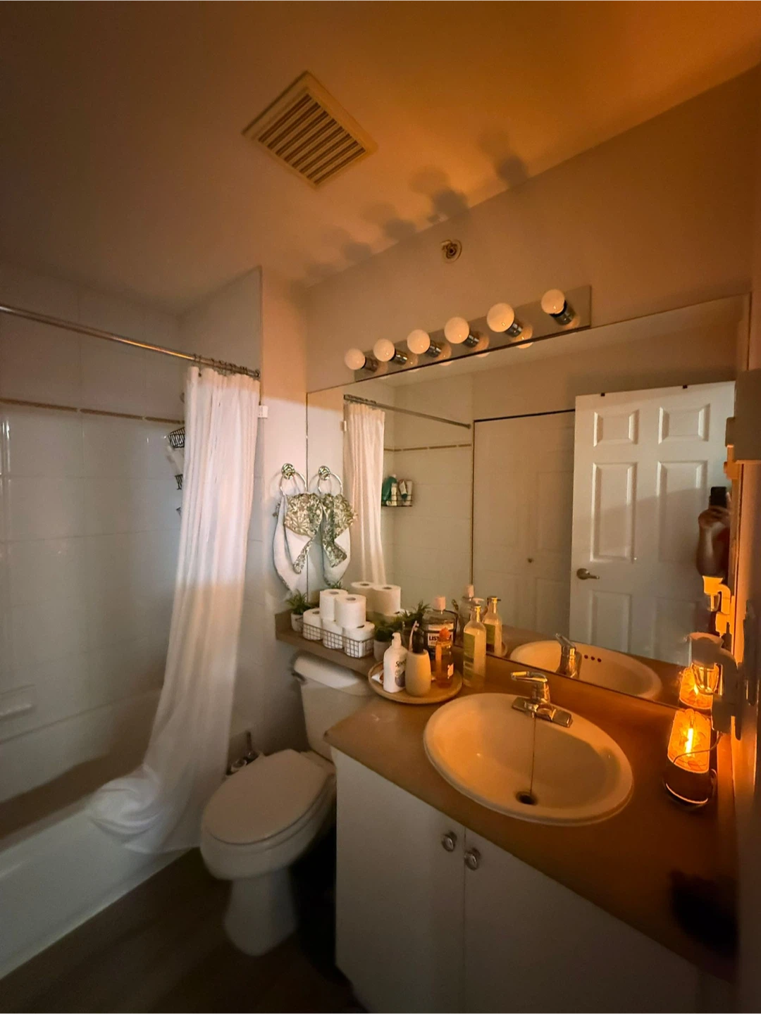 1 bath 1 bed apartment - photo 3