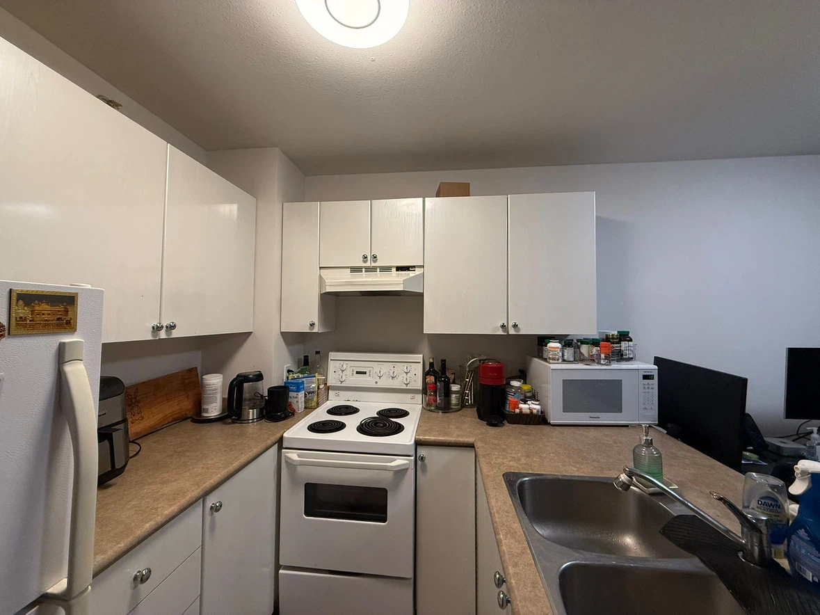 1 bath 1 bed apartment - photo 4