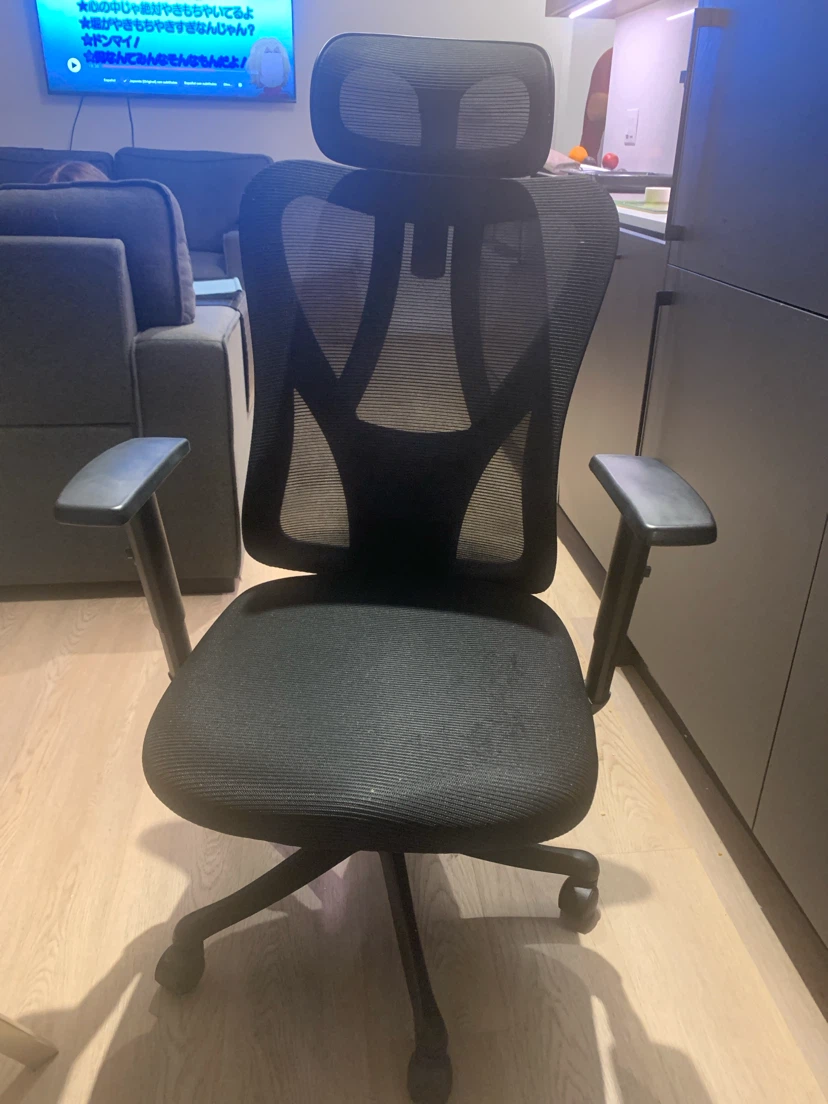 Black Ergonomic Mesh Office Chair
