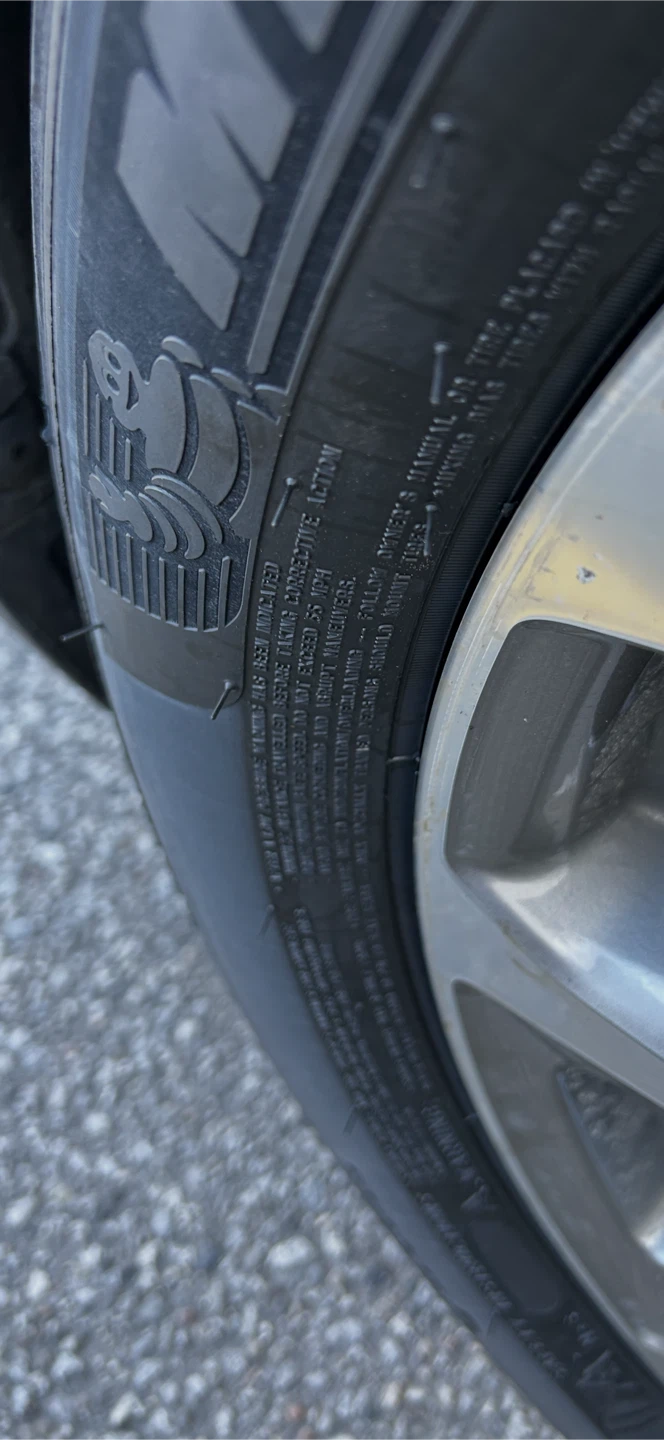 윈터타이어 Michelin Pilot Sport Tire 245/.50R19 - photo 2