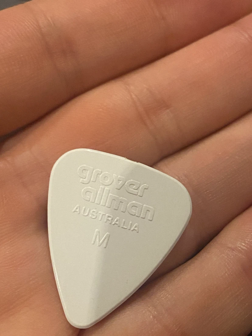 Two The Simpsons Guitar Picks - photo 5