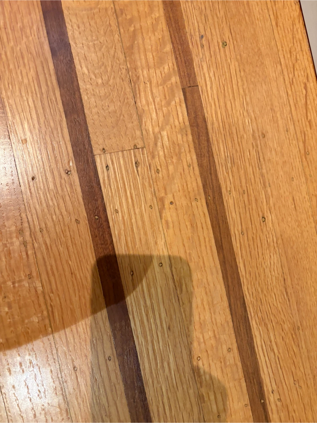 Walnut hardwood floor inlay lengths - photo 4